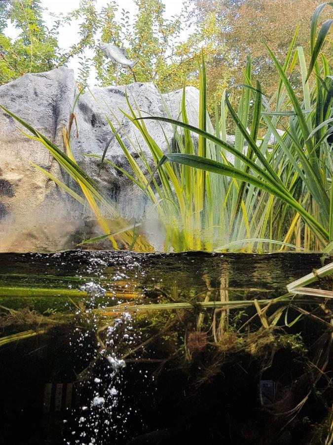 Aux Trois Petits Cochons Lägenhet Hotton Exteriör bild